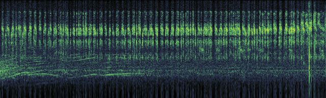 Spectrogram